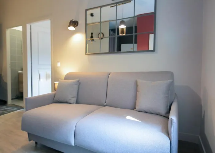 Le Zen, T2 Chic Et Cosy, Wifi Par Sovalfi